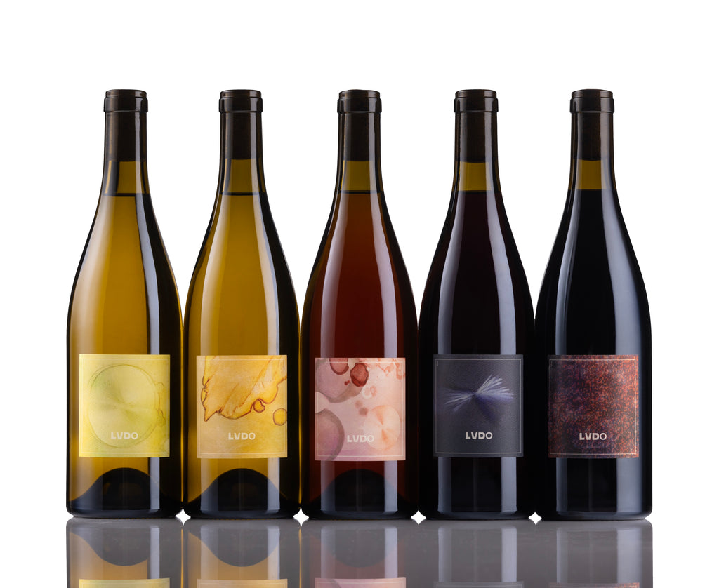 2024 Collection - MIRAGE